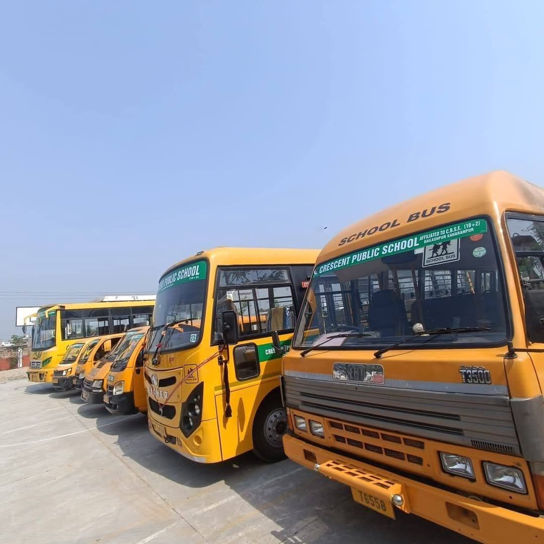 buses