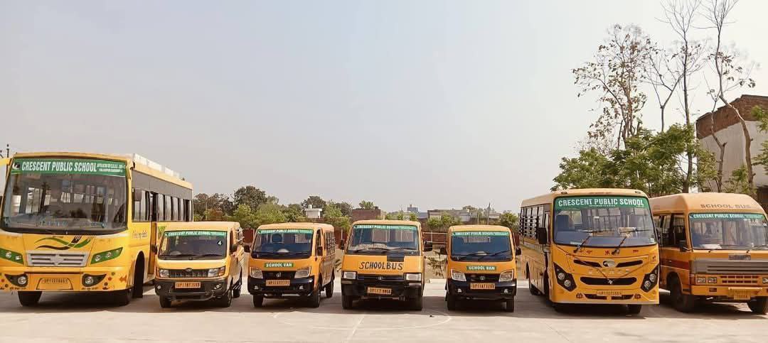 buses
